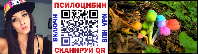 Галлюциногенные грибы ЛСД  магазин    Кондопога 